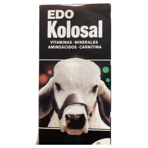 Edo Kolosal for sale