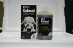 Buy Edo Kolosal Online