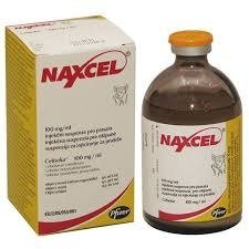 Buy Naxcel 100mg Injection Suspension