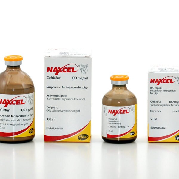 Buy Naxcel 100mg Injection Suspension