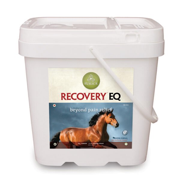 Buy Recovery EQ Powder Online