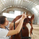 Prime Vet Meds Contact Us