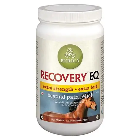 Buy Recovery EQ Powder Online