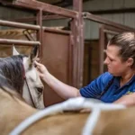 Cheap Online Request Prescription