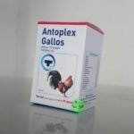 Buy Antoplex Gallos Online