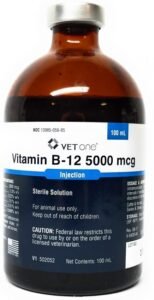 Buy Vitamin B12 5000 Online