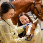 Buy Veterinary Medicines Online