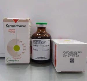 Dexamethasone Buy Dexamethasone Online