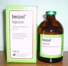 Imizol Injection