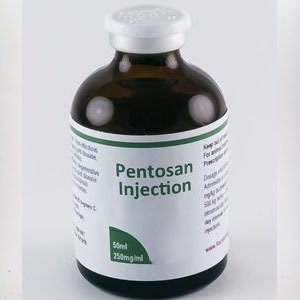 Buy Pentosan Injection 250mg – Professional Equine Cartilage & Mobility Booster