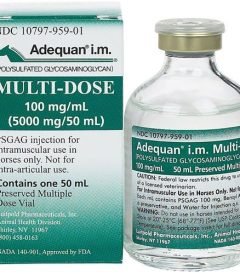 Adequan-I-M-Multi-Dose-100-mg-mL-2.jpg