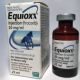 EQUIOXX.jpg