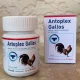 Buy Antoplex Gallos Online