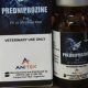 Predniprozine-e1619821074342.jpg