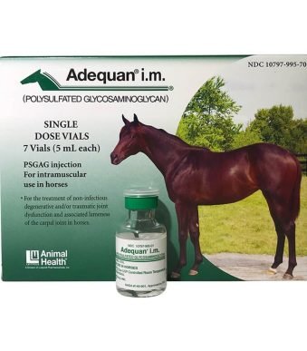 Adequan i.m for sale